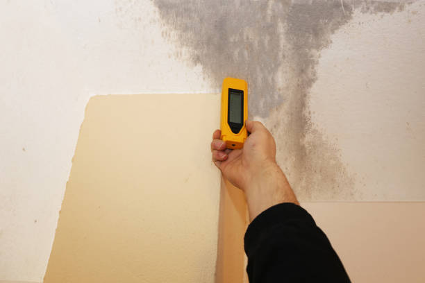 Best Mold Remediation for Vacation Homes  in Due West, SC