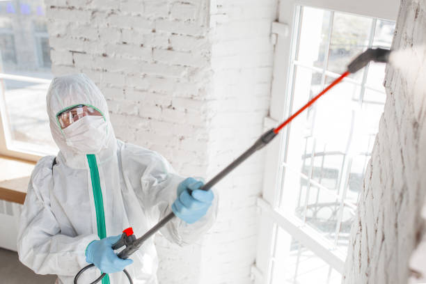 Best Mold Prevention Services  in Due West, SC