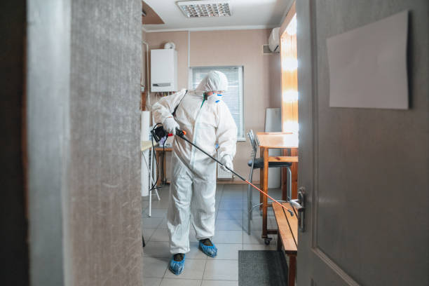Forensic Mold Investigation in Due West, SC