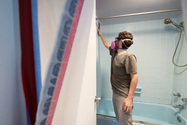 Best Airborne Mold Testing  in Due West, SC