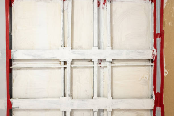 Best Forensic Mold Investigation  in Due West, SC