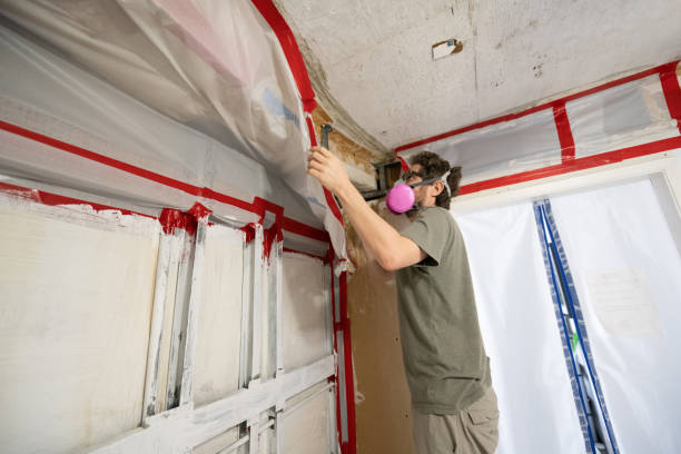 Best Mold Removal for HVAC Installations  in Due West, SC