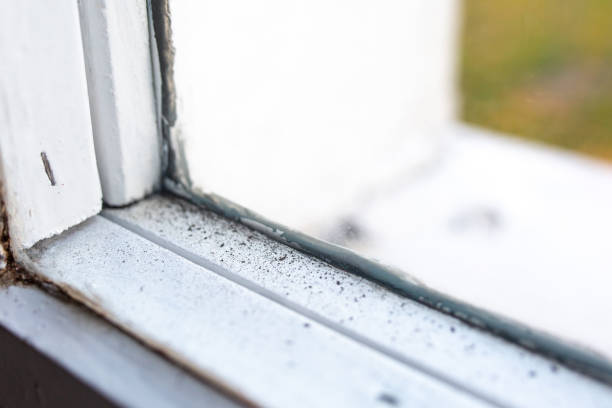 Best Dehumidification Services  in Due West, SC
