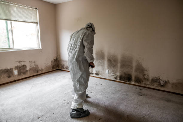 Due West, SC Mold Removal Company