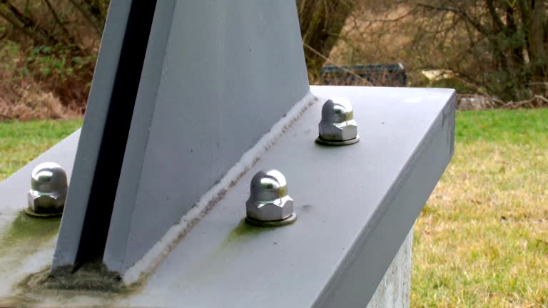 Best Attic Mold Removal  in Due West, SC