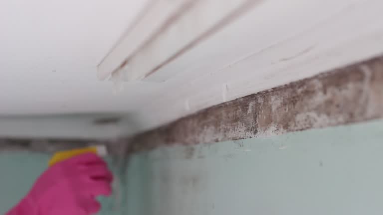 Best Post-Remediation Verification Testing  in Due West, SC